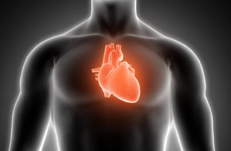 World Heart Day 2025: दिल के लिए जादुई हैं ये 4 फल, डॉक्टर्स भी मानते हैं इनका लोहा